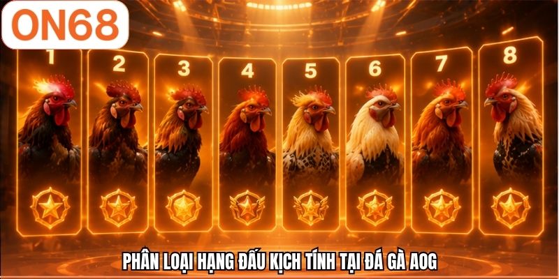 Phân loại hạng đấu kịch tính tại đá gà AOG