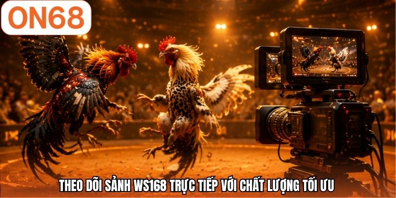 Theo dõi sảnh WS168 trực tiếp với chất lượng tối ưu 