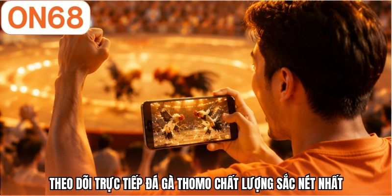 Theo dõi trực tiếp đá gà Thomo chất lượng sắc nét nhất