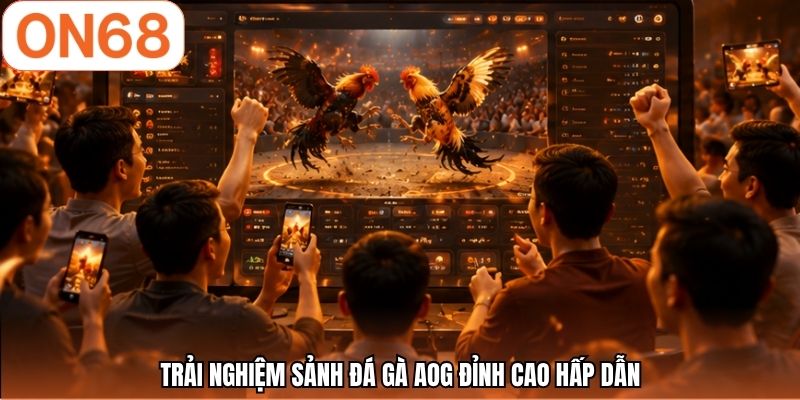 Trải nghiệm sảnh đá gà AOG đỉnh cao hấp dẫn